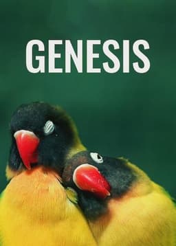 Genesis