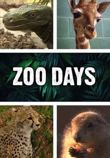 Zoo Days