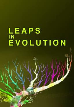Leaps In Evolution
