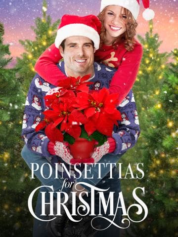 Poinsettias for Christmas