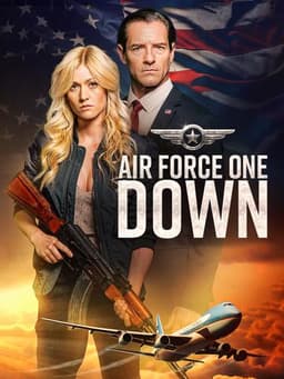 Air Force One Down