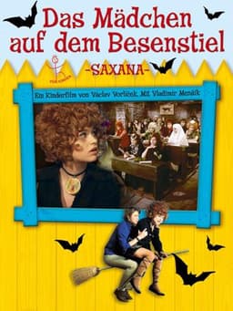 The Girl on the Broomstick