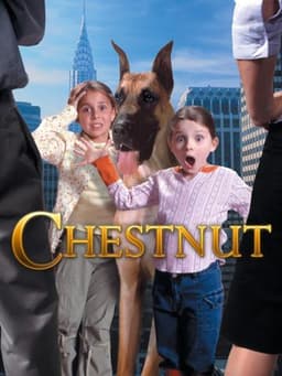 Chestnut: Hero of Central Park