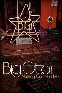 Big Star: Nothing Can Hurt Me