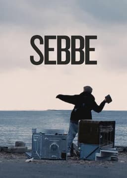Sebbe