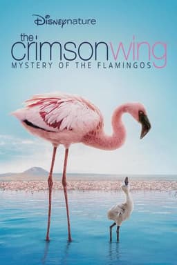 The Crimson Wing: Mystery of the Flamingos