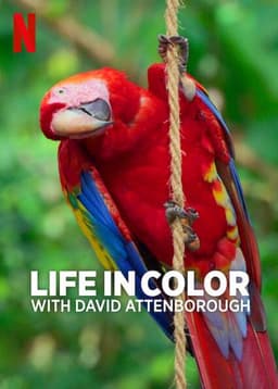 Attenborough's Life in Colour