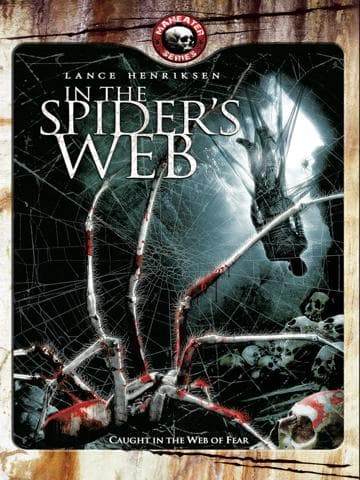 In the Spider's Web