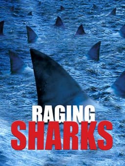Raging Sharks