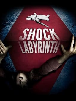The Shock Labyrinth