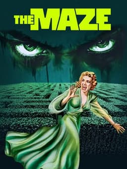 The Maze