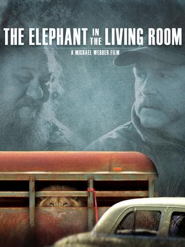 The Elephant in the Living Room