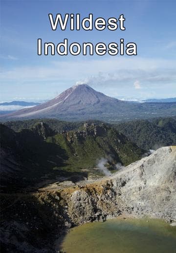 Wildest Islands of Indonesia