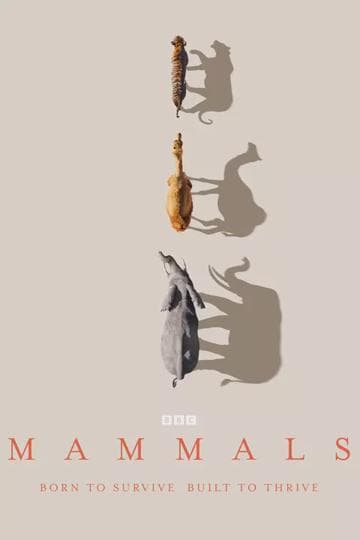 Mammals