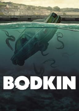 Bodkin