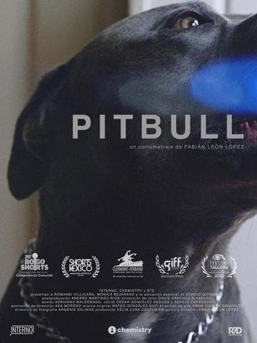 Pitbull