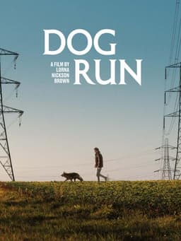 Dog Run