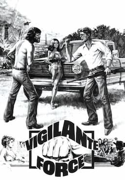 Vigilante Force
