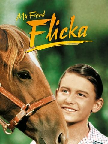 My Friend Flicka