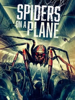 Spiders on a Plane
