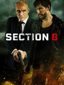 Section 8