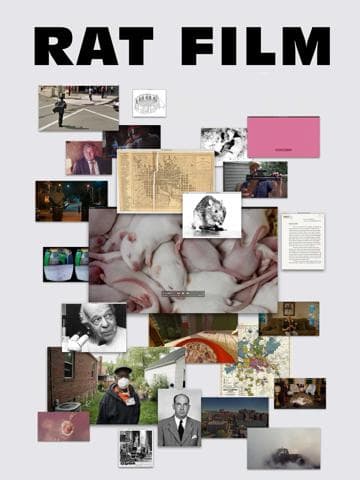 Rat Film