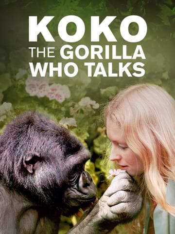 Koko: A Talking Gorilla