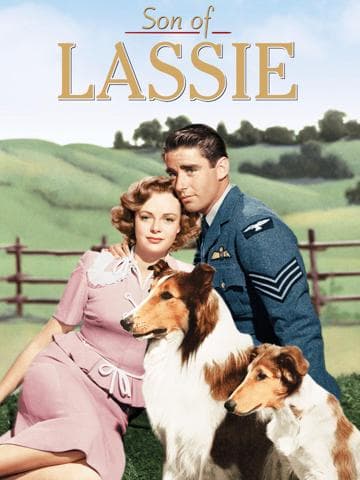 Son of Lassie