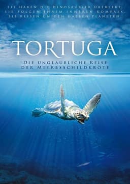 Turtle: The Incredible Journey
