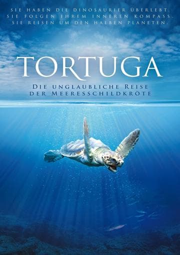 Turtle: The Incredible Journey