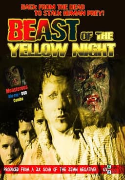The Beast of the Yellow Night
