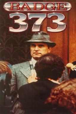 Badge 373