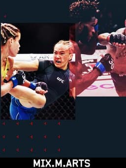 UFC 303: Pereira vs. Prochazka 2