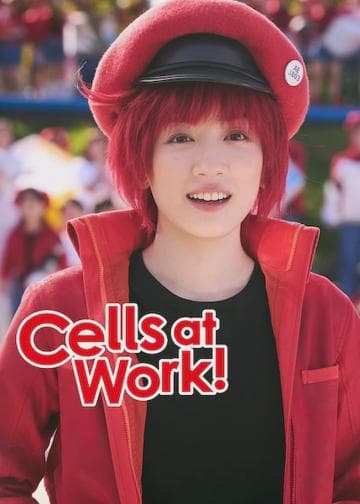 Cells at Work!