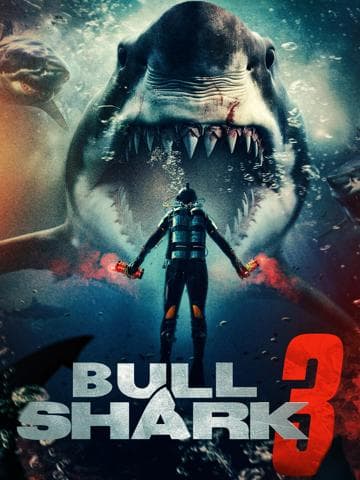 Bull Shark 3