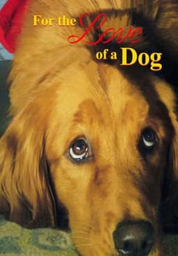 For the Love of a Dog