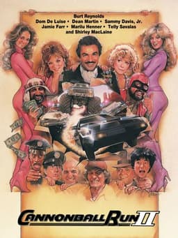 Cannonball Run II
