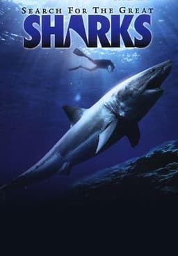 Search for the Great Sharks