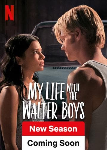 My Life with the Walter Boys