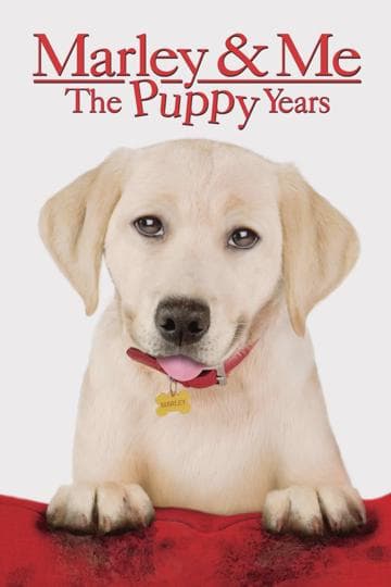 Marley & Me: The Puppy Years