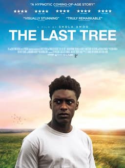 The Last Tree